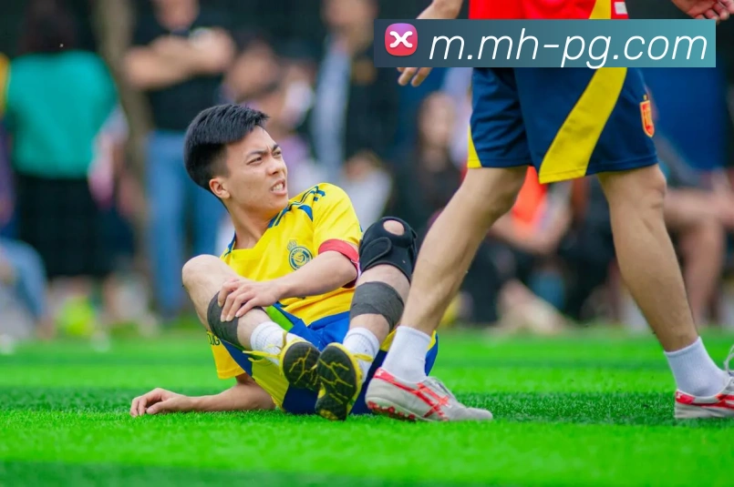 多媒体互动体验